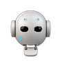 Buddy Bot, perched on a window